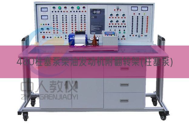 480柱塞泵柴油发动机附翻转架(柱塞泵)(图1)